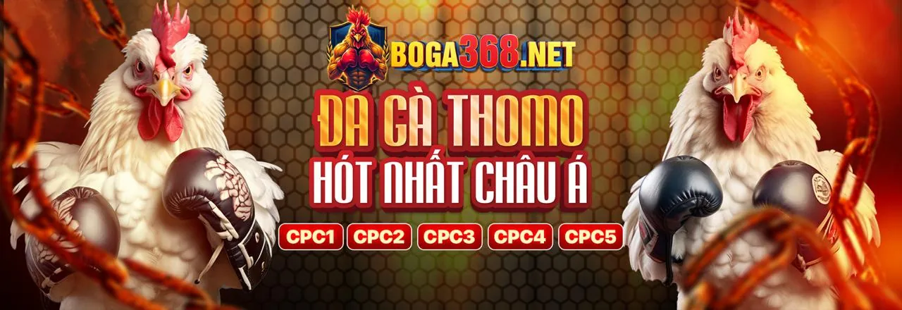 Đá Gà Trực Tuyến rio66 web